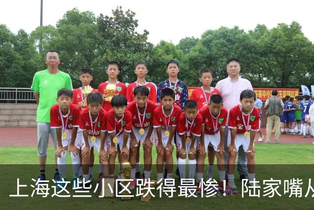 上海这些小区跌得最惨！陆家嘴从15万跌到8.5，曹杨新村5万没人接