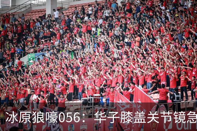 冰原狼嚎056：华子膝盖关节镜急需手术 请问明天和意外哪个先来？
