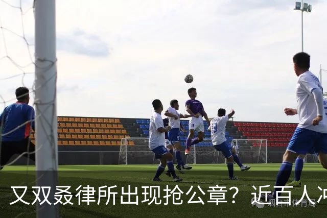 又双叒律所出现抢公章？近百人冲击行政大厅