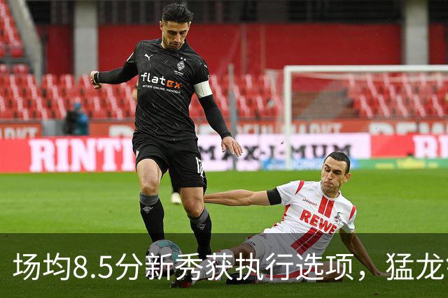 场均8.5分新秀获执行选项，猛龙锁定两名年轻替补
