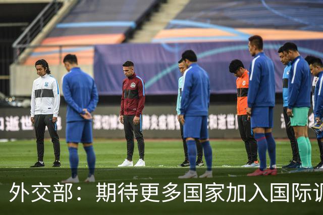 外交部：期待更多国家加入国际调解院