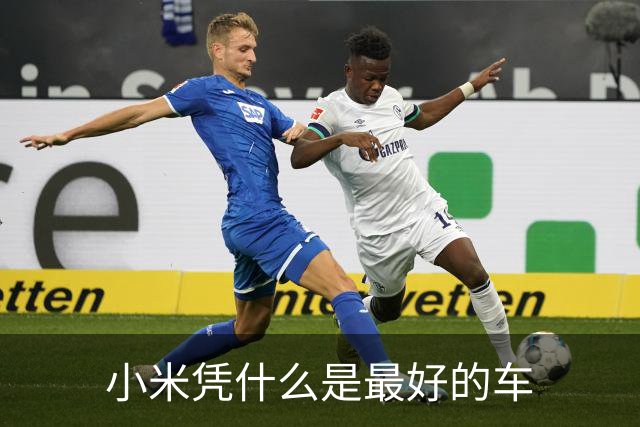 小米凭什么是最好的车