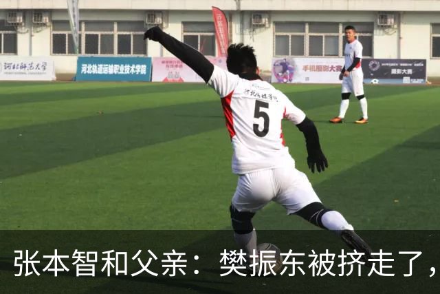 张本智和父亲：樊振东被挤走了，王楚钦跌出世界前四，男乒这回完蛋了？
