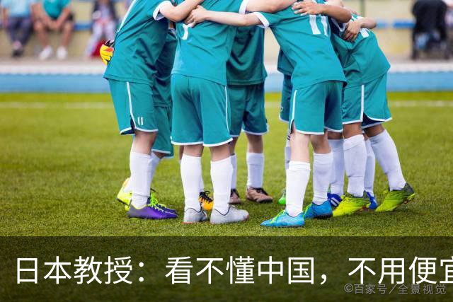 日本教授：看不懂中国，不用便宜的电线杆，非要花钱铺设地下电缆