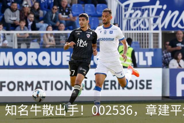 知名牛散出手！002536，章建平大举买入