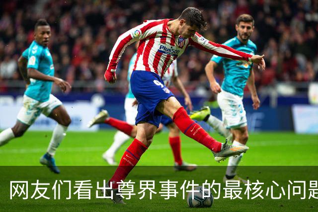 网友们看出尊界事件的最核心问题了