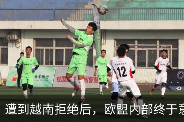 遭到越南拒绝后，欧盟内部终于意识到：什么叫 “中国力量”！